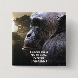 CHIMPANZEE III EXTINUTION BUTTON