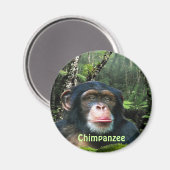CHIMPANZEE & JUNGLE Primat Wilhelm Tell Magnet (Vorderseite/Rückseite)