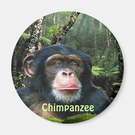 CHIMPANZEE & JUNGLE Primat Wilhelm Tell Magnet (Vorne)