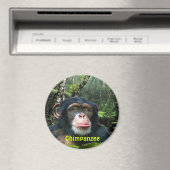 CHIMPANZEE & JUNGLE Primat Wilhelm Tell Magnet (In Situ (Geschirrspüler))