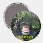 CHIMPANZEE & JUNGLE Primat Wilhelm Tell Magnet (Vorderseite/Rückseite)