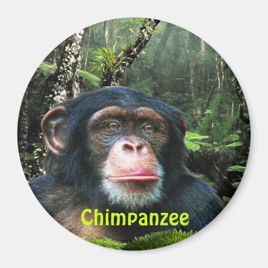 CHIMPANZEE & JUNGLE Primat Wilhelm Tell Magnet (Vorne)