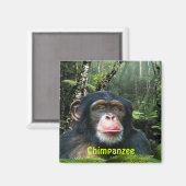 CHIMPANZEE & JUNGLE Primat Wilhelm Tell Magnet (Vorderseite/Rückseite)