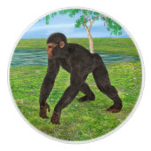 Chimpanzee Keramikknauf (Vorderseite)