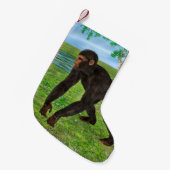 Chimpanzee Kleiner Weihnachtsstrumpf (Vorderansicht (hängend))