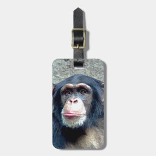 Chimpanzee Luggage Tags Gepäckanhänger