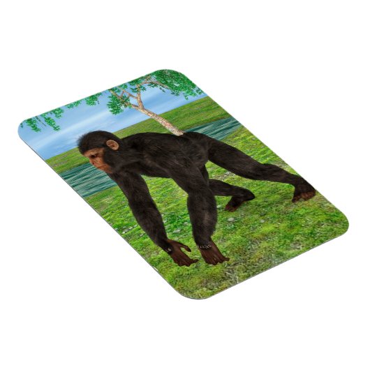 Chimpanzee Magnet (Rechte Seite)