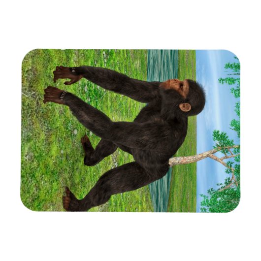 Chimpanzee Magnet (Horizontal)