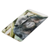 CHIMPANZEE MAGNET (Linke Seite)