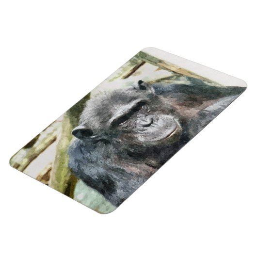 CHIMPANZEE MAGNET (Linke Seite)