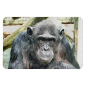 CHIMPANZEE MAGNET (Horizontal)