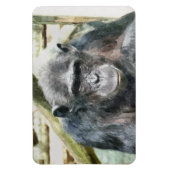 CHIMPANZEE MAGNET (Vertikal)