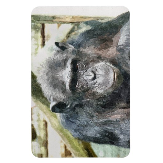 CHIMPANZEE MAGNET (Vertikal)