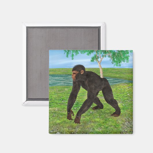 Chimpanzee Magnet (Vorderseite/Rückseite)