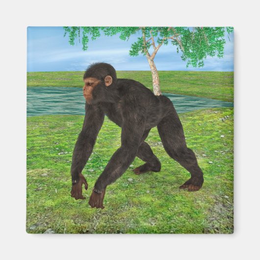 Chimpanzee Magnet (Vorne)