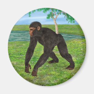 Chimpanzee Magnet
