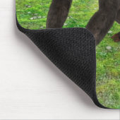 Chimpanzee Mousepad (Ecke)