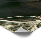 CHIMPANZEE MUTTER UND KIND POSTER (Ecke)