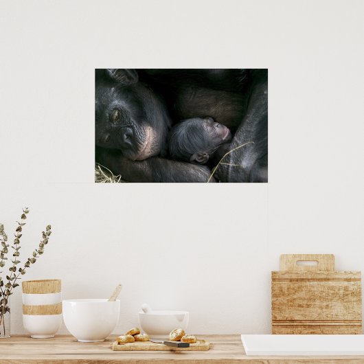 CHIMPANZEE MUTTER UND KIND POSTER (Küche)
