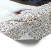 Chimpanzee Poster (Ecke)