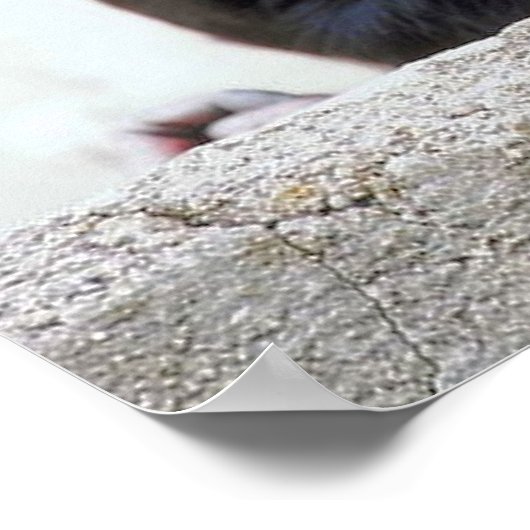 Chimpanzee Poster (Ecke)