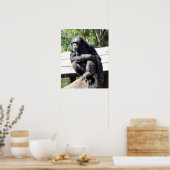Chimpanzee Poster (Küche)
