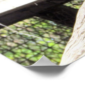 Chimpanzee Poster (Ecke)