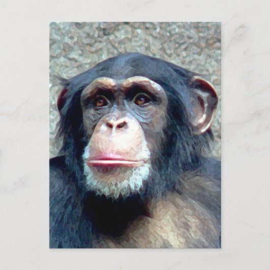 Chimpanzee Postkarte (Vorderseite)