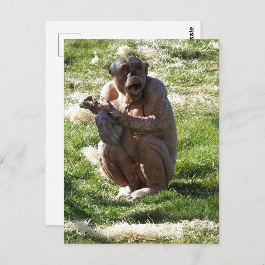 CHIMPANZEE POSTKARTE (Vorne/Hinten)