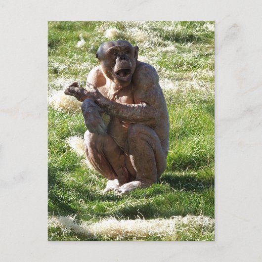CHIMPANZEE POSTKARTE (Vorderseite)