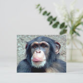 Chimpanzee Postkarte (Stehend Vorderseite)