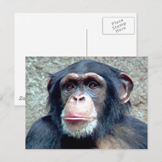 Chimpanzee Postkarte (Vorne/Hinten)