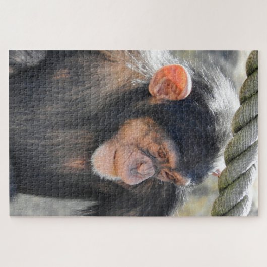 Chimpanzee Puzzle (Horizontal)