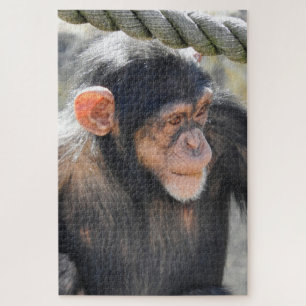 Chimpanzee Puzzle