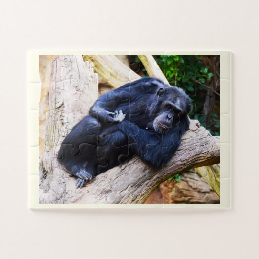 Chimpanzee Puzzle (Horizontal)