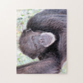 Chimpanzee Puzzle (Vertikal)