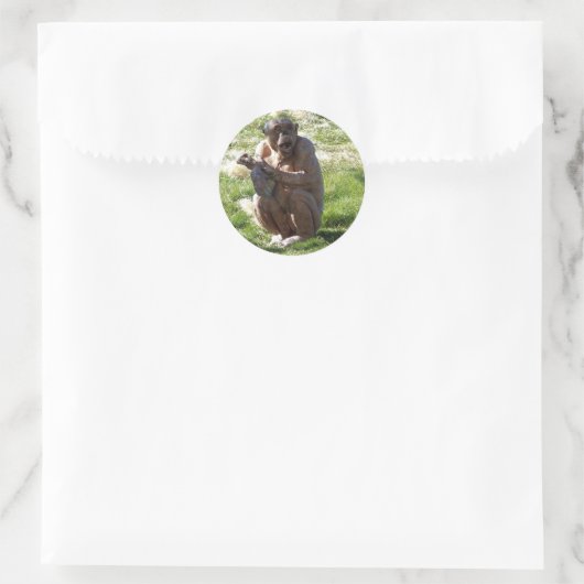 CHIMPANZEE RUNDER AUFKLEBER (Tasche)