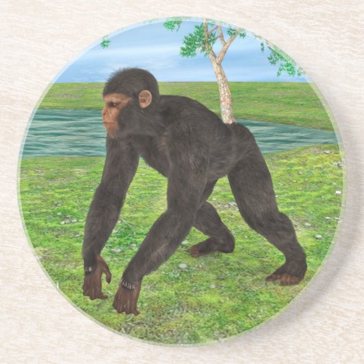 Chimpanzee Sandstein Untersetzer (Vorne)