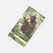 CHIMPANZEE SERVIETTE (Ecke)