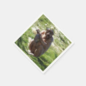 CHIMPANZEE SERVIETTE (Ecke)