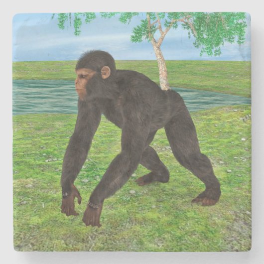 Chimpanzee Steinuntersetzer (Vorderseite)