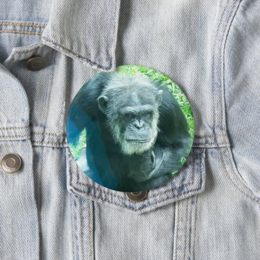 Chimpanzee Thinking Button (Beispiel)