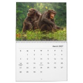 Chimpanzee Wall Calendar Kalender (Mär 2027)