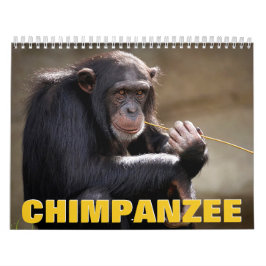 Chimpanzee Wall Calendar Kalender