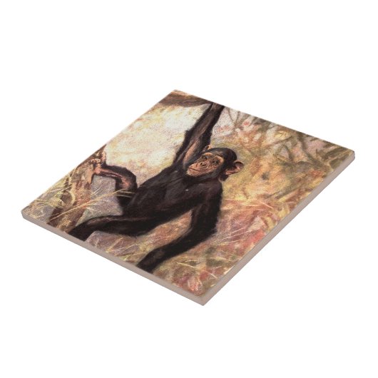 chimpanzeehangingintree002_original fliese (Seite)