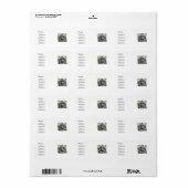 CHIMPANZEES ADRESSAUFKLEBER (Vorne)