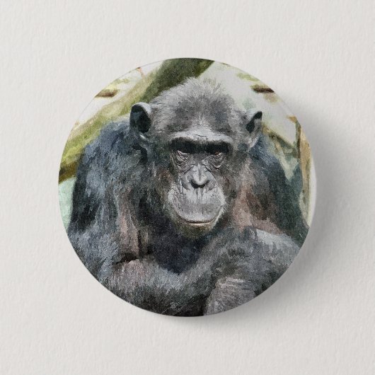 CHIMPANZEES BUTTON (Vorderseite)