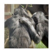 CHIMPANZEES FLIESE (Vorderseite)
