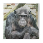 CHIMPANZEES FLIESE (Vorderseite)