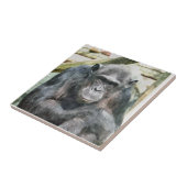 CHIMPANZEES FLIESE (Seite)